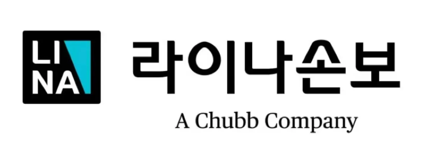 라이나손해보험