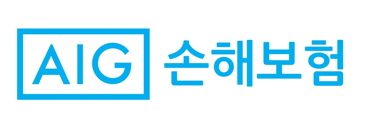AIG손해보험 AIG손해보험